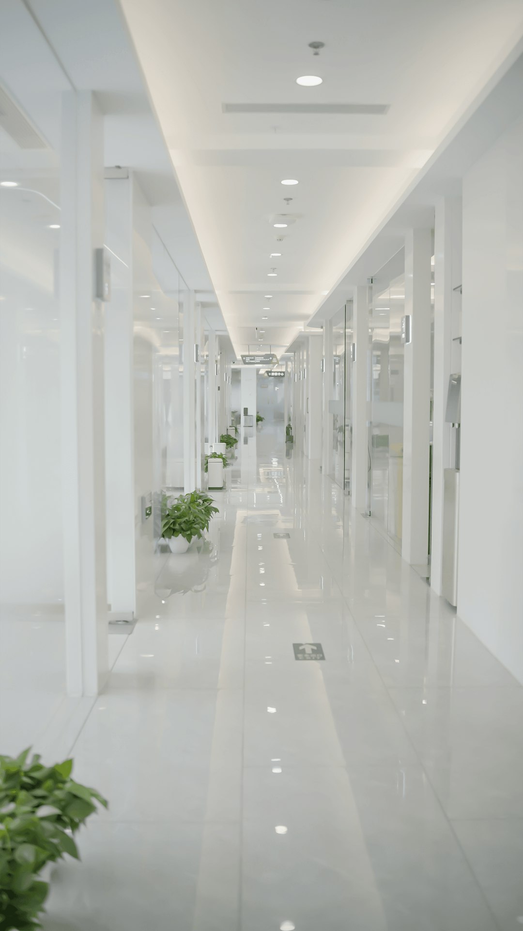 Services a-long-white-hallway-with-plants-in-the-middle-owk-qmgd0vg